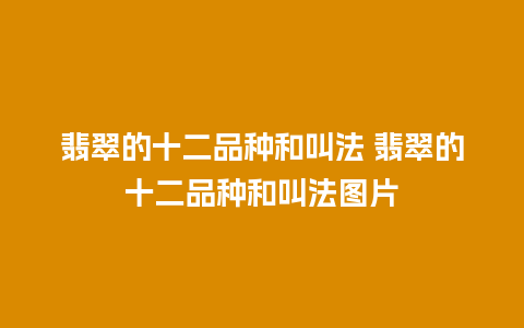 翡翠的十二品种和叫法 翡翠的十二品种和叫法图片