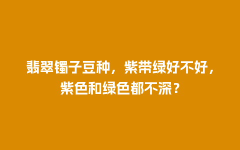 翡翠镯子豆种，紫带绿好不好，紫色和绿色都不深？