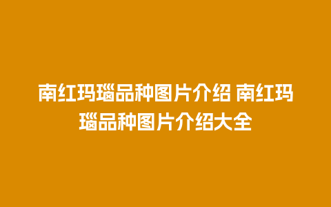 南红玛瑙品种图片介绍 南红玛瑙品种图片介绍大全