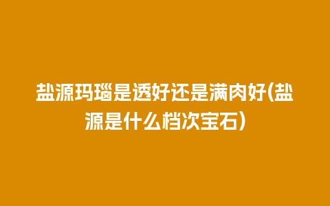 盐源玛瑙是透好还是满肉好(盐源是什么档次宝石)