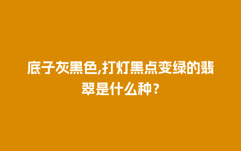 底子灰黑色,打灯黑点变绿的翡翠是什么种？