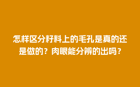 怎样区分籽料上的毛孔是真的还是做的？肉眼能分辨的出吗？