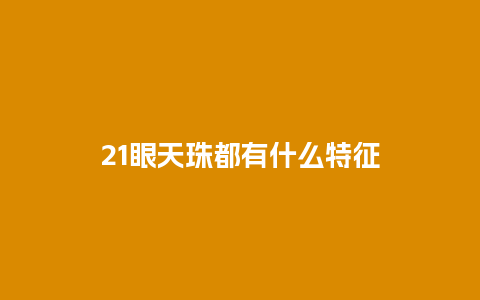 21眼天珠都有什么特征