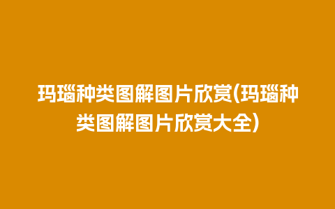 玛瑙种类图解图片欣赏(玛瑙种类图解图片欣赏大全)