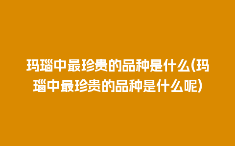 玛瑙中最珍贵的品种是什么(玛瑙中最珍贵的品种是什么呢)