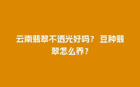 云南翡翠不透光好吗？ 豆种翡翠怎么养？