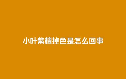 小叶紫檀掉色是怎么回事