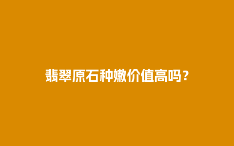 翡翠原石种嫩价值高吗？