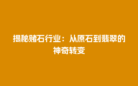 揭秘赌石行业：从原石到翡翠的神奇转变