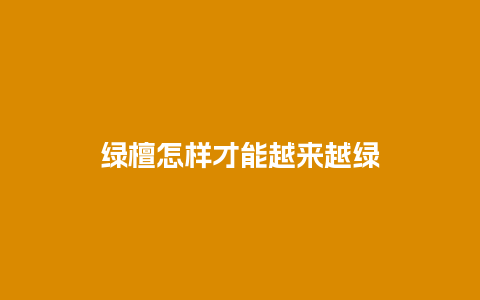 绿檀怎样才能越来越绿
