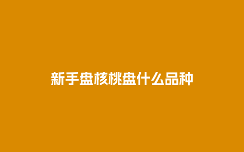 新手盘核桃盘什么品种