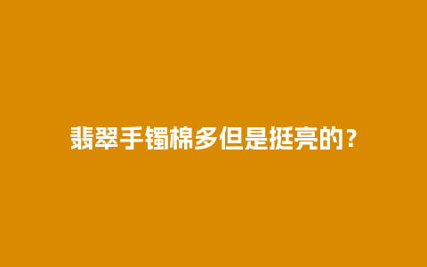 翡翠手镯棉多但是挺亮的？