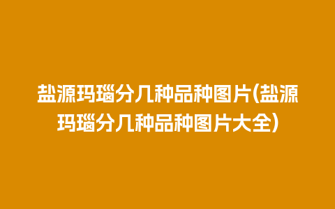 盐源玛瑙分几种品种图片(盐源玛瑙分几种品种图片大全)