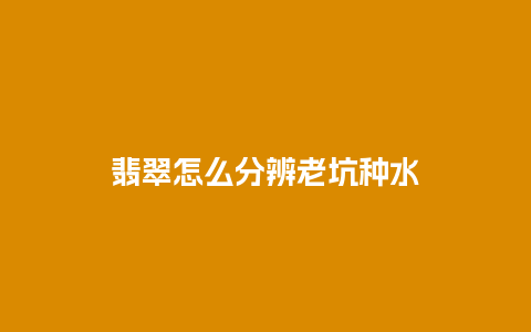 翡翠怎么分辨老坑种水