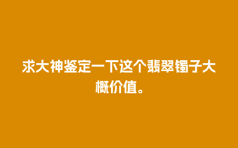 求大神鉴定一下这个翡翠镯子大概价值。