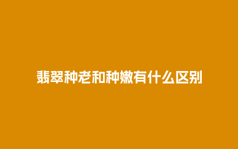 翡翠种老和种嫩有什么区别