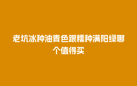 老坑冰种油青色跟糯种满阳绿哪个值得买