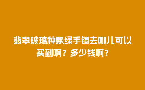 翡翠玻璃种飘绿手镯去哪儿可以买到啊？多少钱啊？