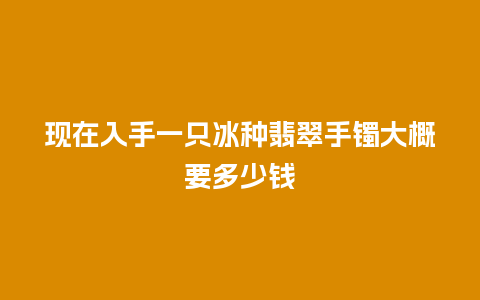 现在入手一只冰种翡翠手镯大概要多少钱