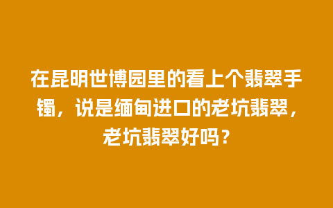 在昆明世博园里的看上个翡翠手镯，说是缅甸进口的老坑翡翠，老坑翡翠好吗？