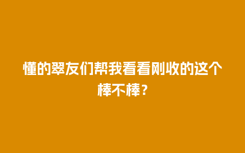 懂的翠友们帮我看看刚收的这个棒不棒？