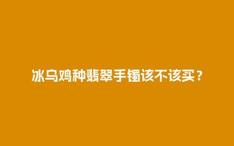 冰乌鸡种翡翠手镯该不该买？