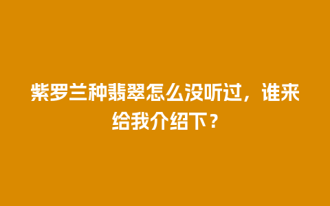 紫罗兰种翡翠怎么没听过，谁来给我介绍下？