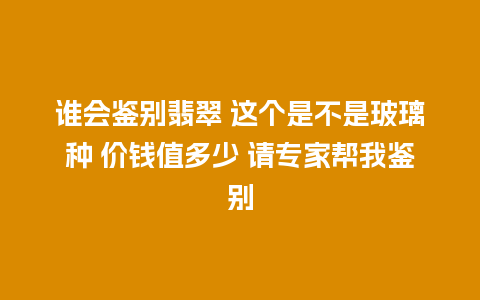 谁会鉴别翡翠 这个是不是玻璃种 价钱值多少 请专家帮我鉴别