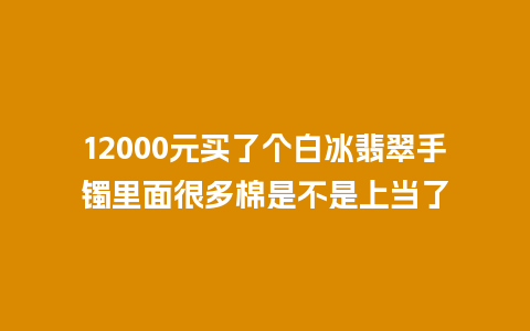 12000元买了个白冰翡翠手镯里面很多棉是不是上当了