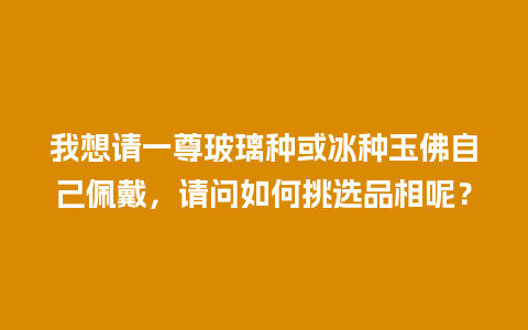 我想请一尊玻璃种或冰种玉佛自己佩戴，请问如何挑选品相呢？