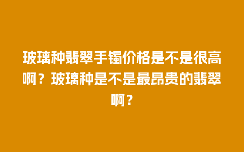 玻璃种翡翠手镯价格是不是很高啊？玻璃种是不是最昂贵的翡翠啊？