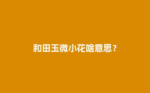 和田玉微小花啥意思？