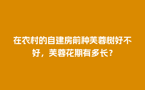 在农村的自建房前种芙蓉树好不好，芙蓉花期有多长？