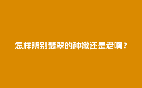 怎样辨别翡翠的种嫩还是老啊？