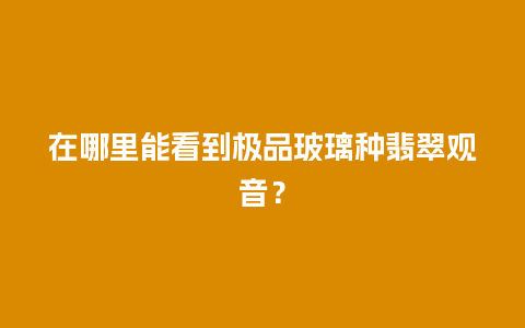 在哪里能看到极品玻璃种翡翠观音？