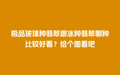 极品玻璃种翡翠跟冰种翡翠哪种比较好看？给个图看吧