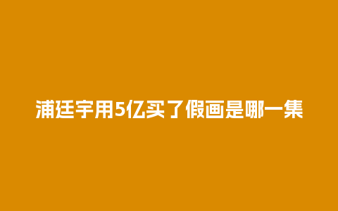 浦廷宇用5亿买了假画是哪一集