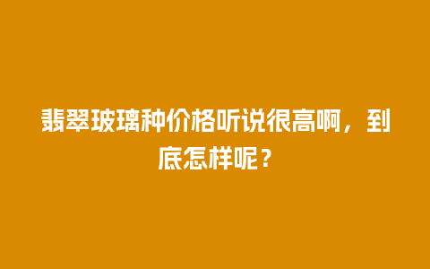 翡翠玻璃种价格听说很高啊，到底怎样呢？