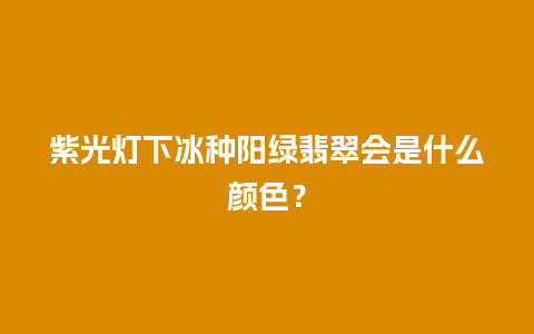 紫光灯下冰种阳绿翡翠会是什么颜色？