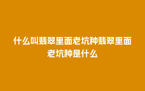 什么叫翡翠里面老坑种翡翠里面老坑种是什么