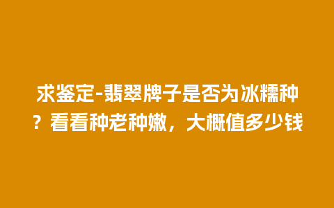 求鉴定-翡翠牌子是否为冰糯种？看看种老种嫩，大概值多少钱