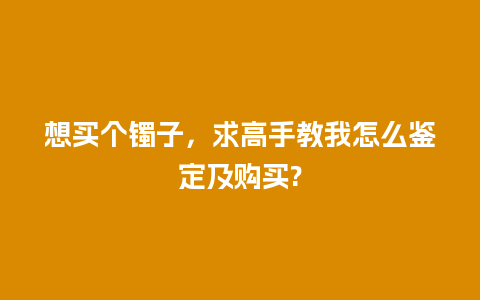 想买个镯子，求高手教我怎么鉴定及购买?