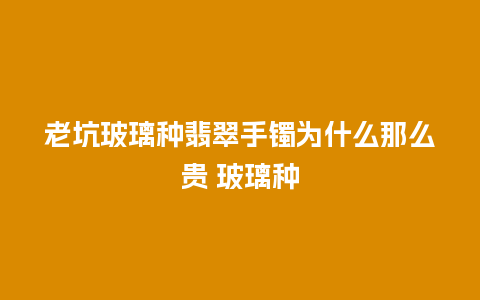 老坑玻璃种翡翠手镯为什么那么贵 玻璃种