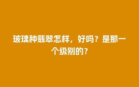 玻璃种翡翠怎样，好吗？是那一个级别的？