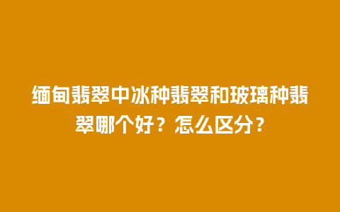 缅甸翡翠中冰种翡翠和玻璃种翡翠哪个好？怎么区分？