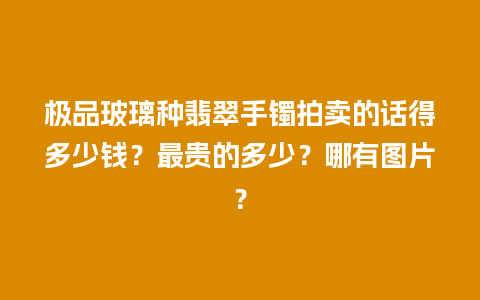 极品玻璃种翡翠手镯拍卖的话得多少钱？最贵的多少？哪有图片？