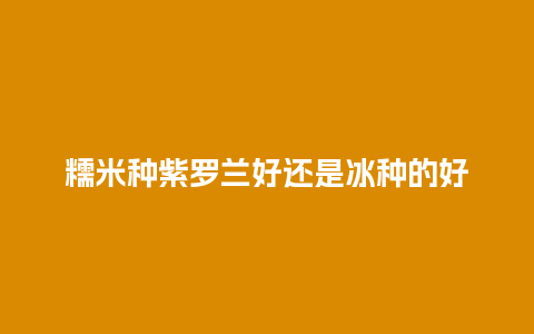 糯米种紫罗兰好还是冰种的好