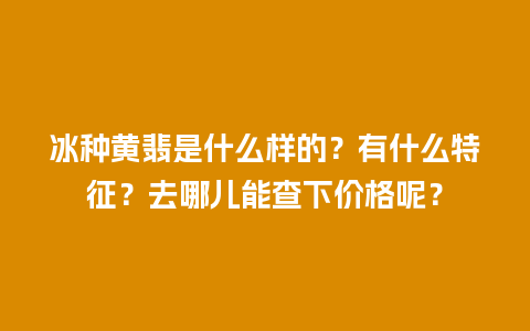 冰种黄翡是什么样的？有什么特征？去哪儿能查下价格呢？