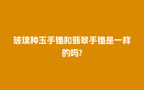 玻璃种玉手镯和翡翠手镯是一样的吗?