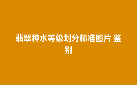 翡翠种水等级划分标准图片 鉴别